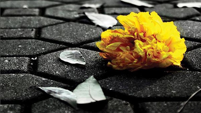 yom hashoah