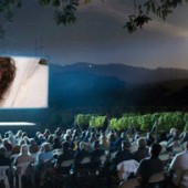A picture of a movie screening outside in a vineyard