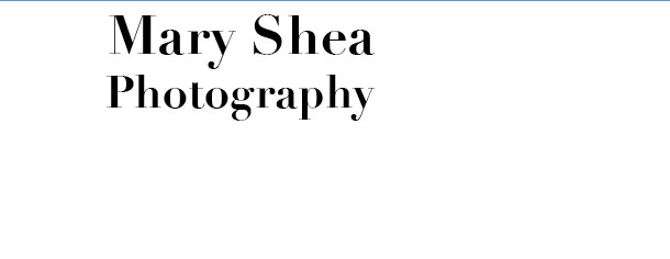 Mary Shea Photography